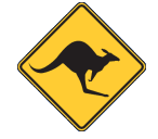 Rockhampton Region Skippycoin ICG Rockhampton Region Skippycoin ICG